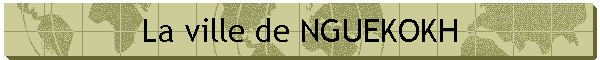 La ville de NGUEKOKH